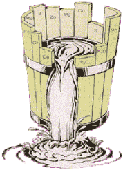 A stave barrel.